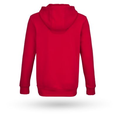 FHO4TA YT TEAM JERSEY HOOD