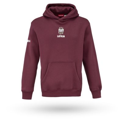 Flag Hoodie Adult