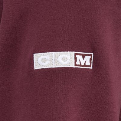 Flag Hoodie Adult