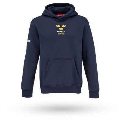 Chandail &agrave; capuche drapeau adulte