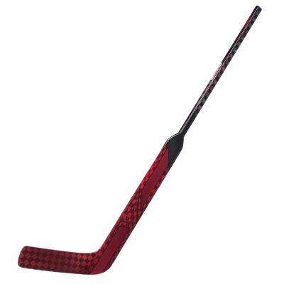 Vizion Goalie Stick Senior P4
