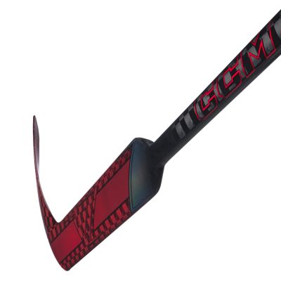 Vizion Goalie Stick Senior P4