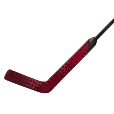 Vizion Goalie Stick Senior P4