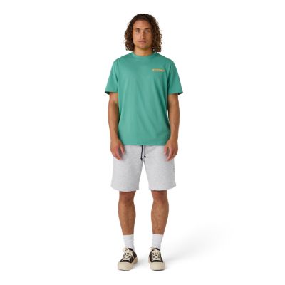 Summer Vibe T-shirt Aquagr&oslash;n til voksne