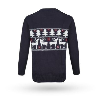 Holiday Ugly Sweater Adult