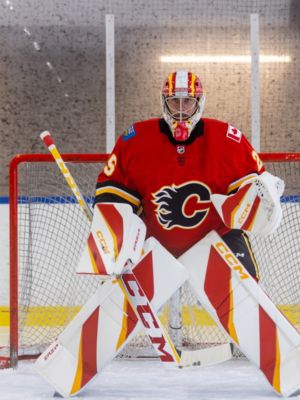 CCM EFLEX 6 SDC Spec SR. Pro Chest and Arm – The Goalie Crease