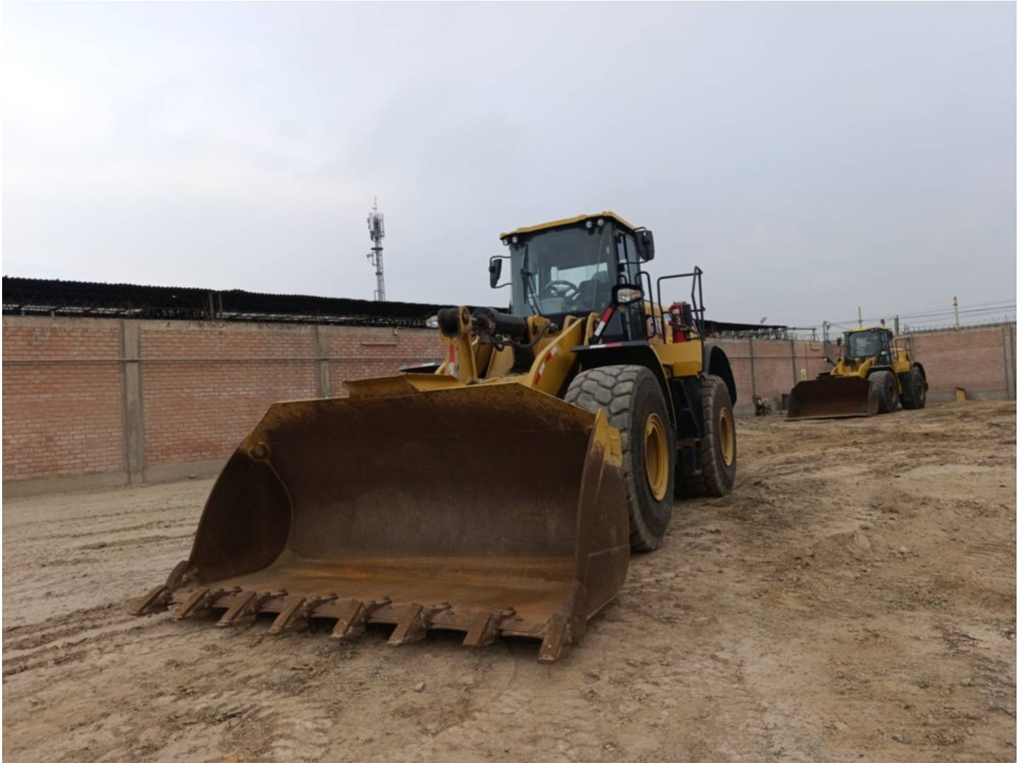 cat-frs02482-10187141