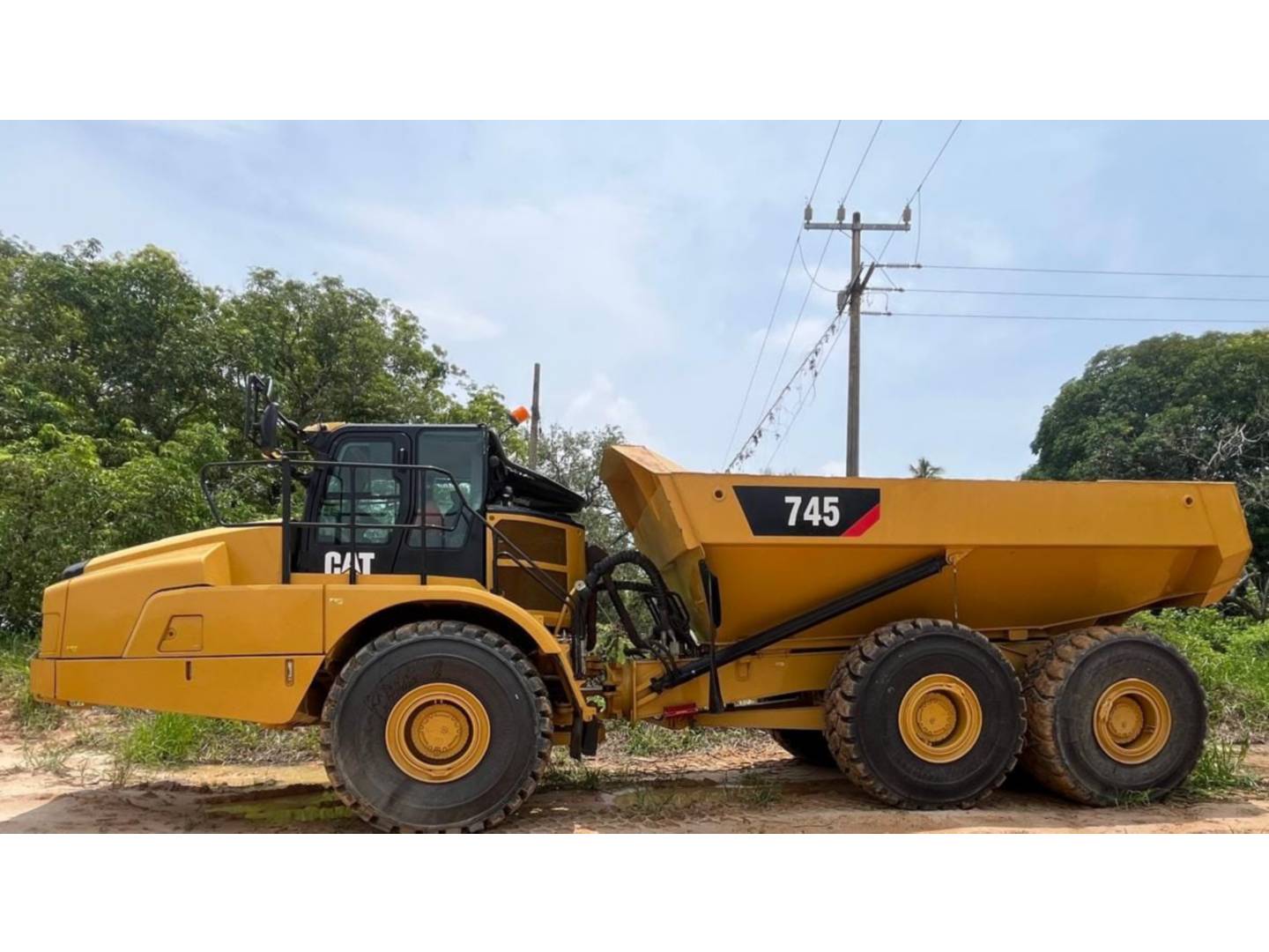 cat-3f600470-10209815
