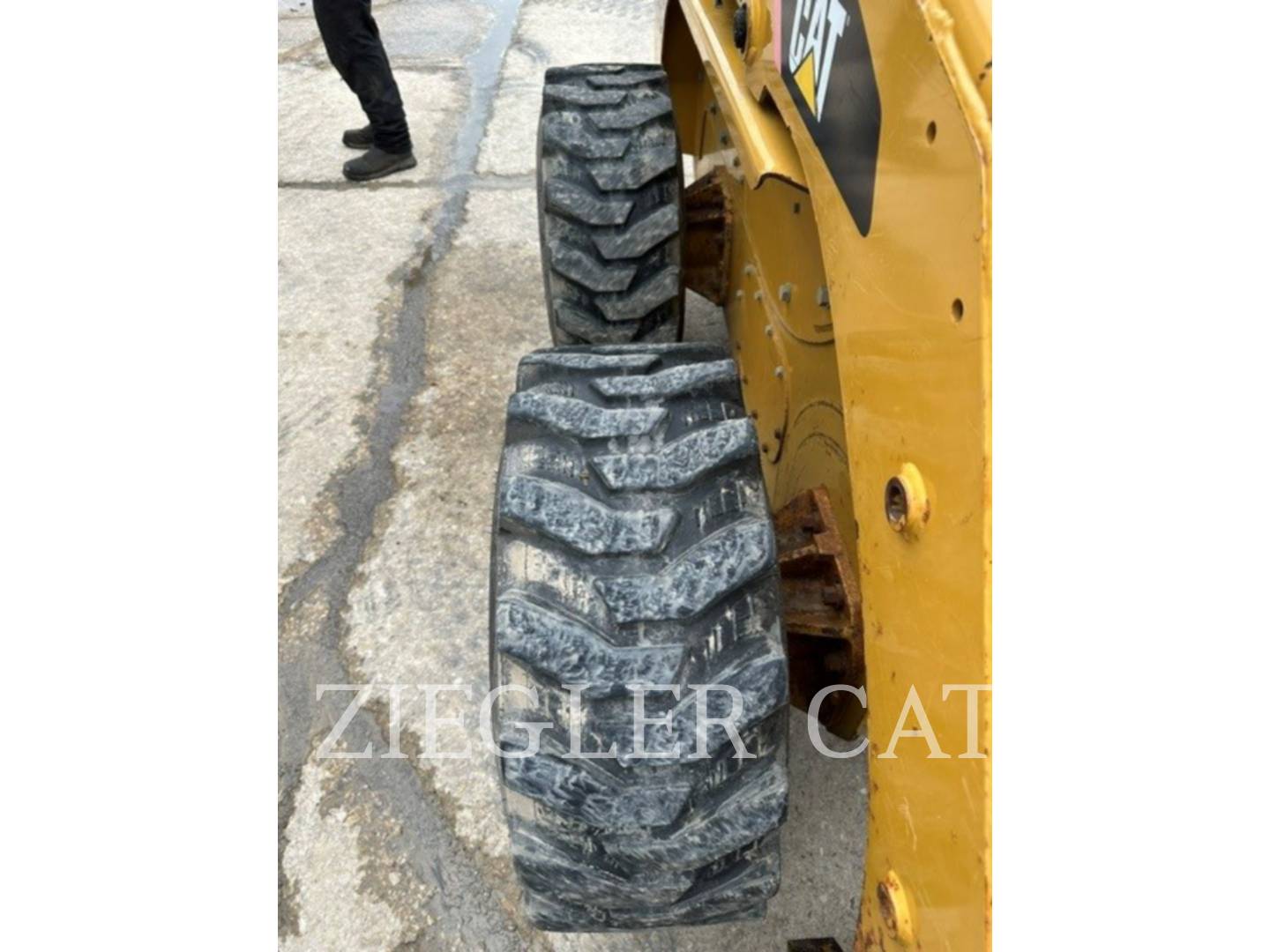 Caterpillar