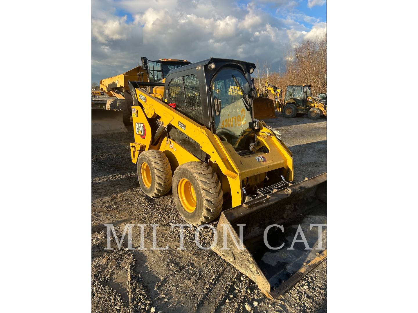 Photo of a  Caterpillar 262D 3