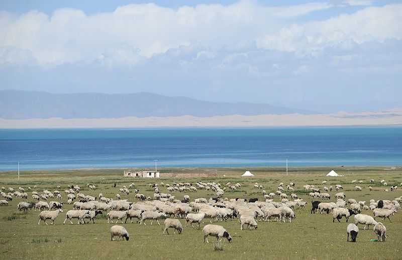 卡特彼勒与中国供应商协作共赢