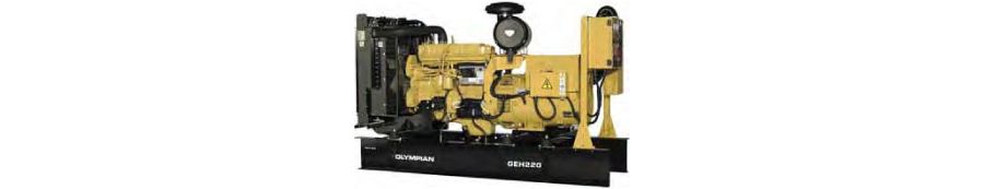 GEH220
