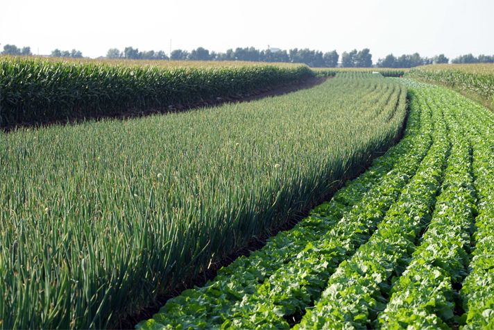 卡特彼勒与中国供应商协作共赢