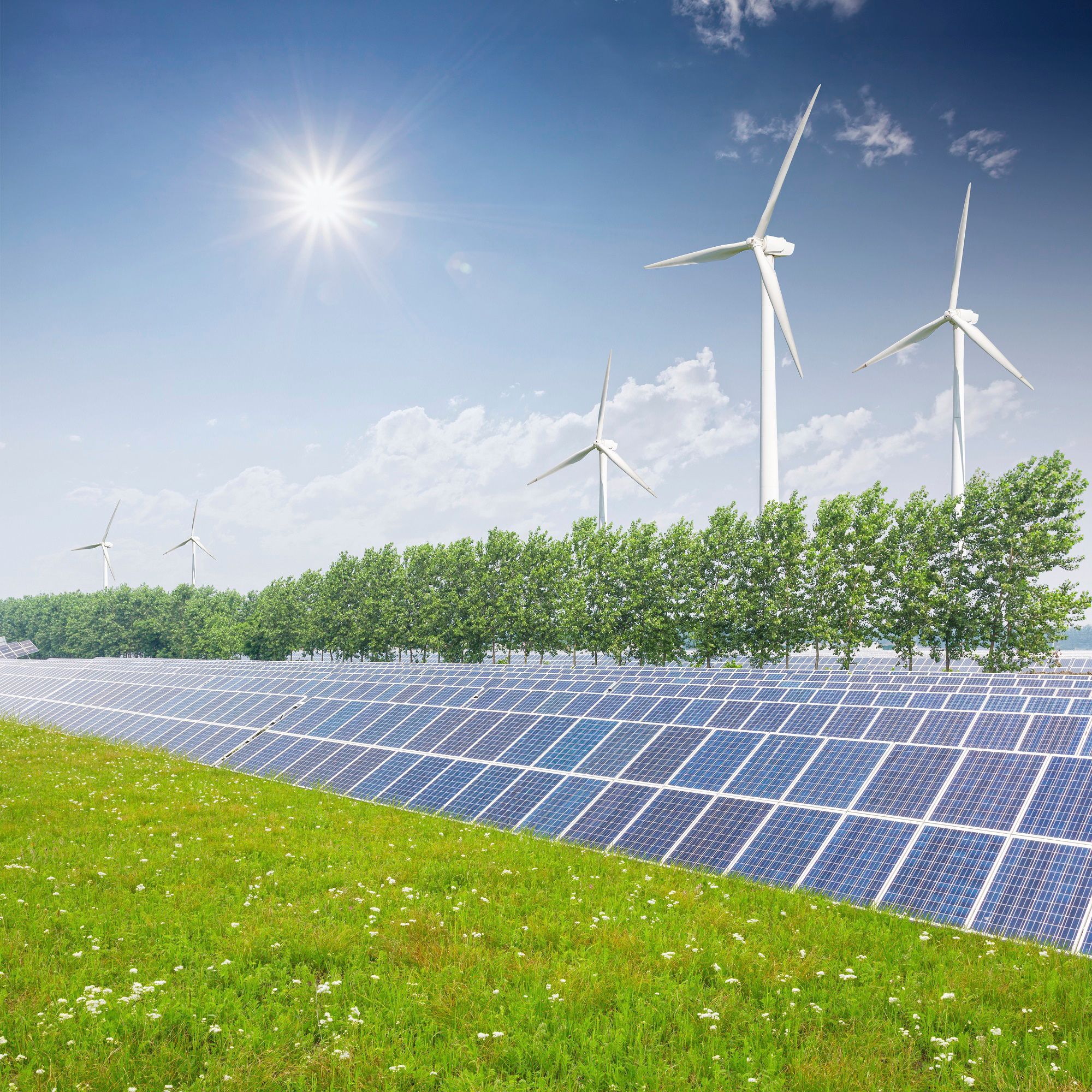 可持续发展与环境