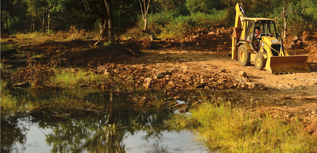 Quenching Thirst at the Tiger Reserve