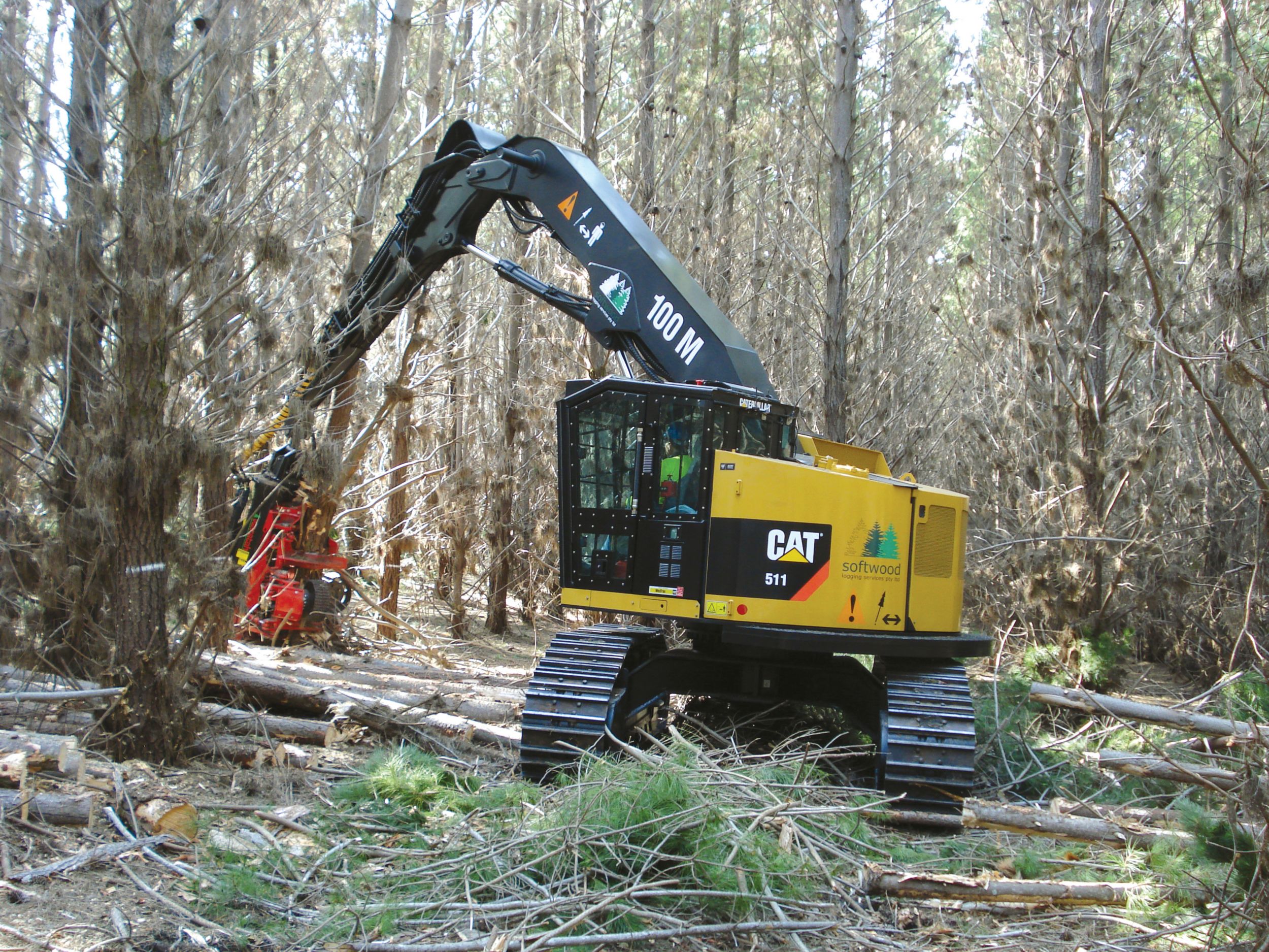 Compre Bastidores De Plantas De Madera, Soporte De Placa Para