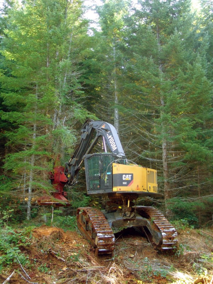 Feller Bunchers - 532