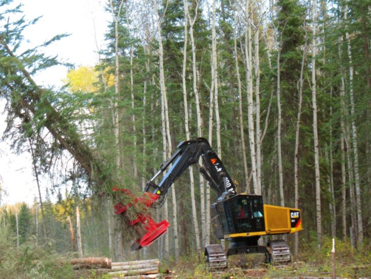 Feller Bunchers - 551