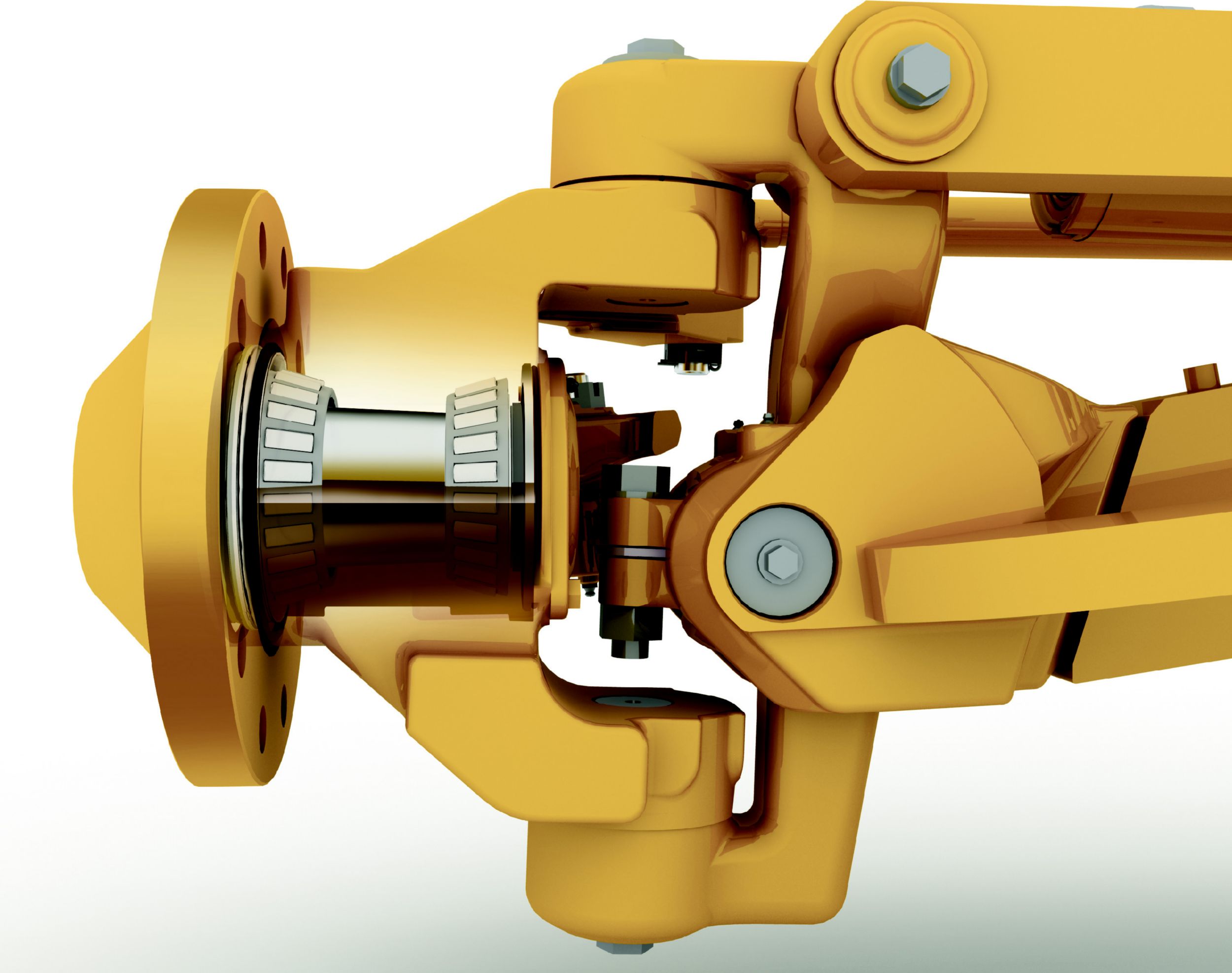 المحاور الأمامية والخلفية