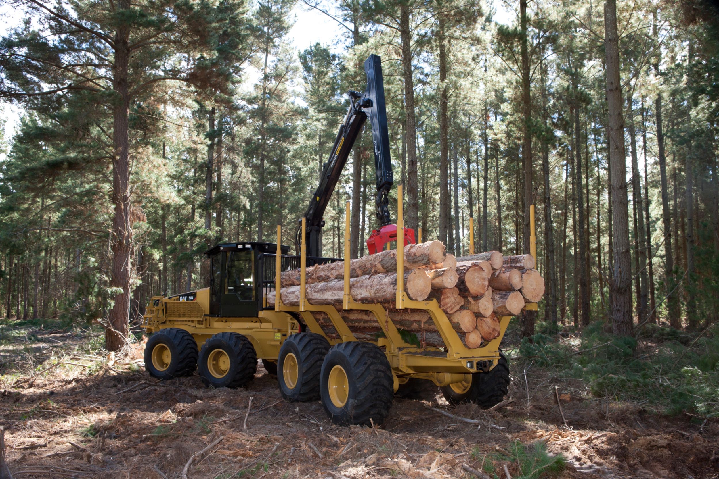 cat forwarder 584hd