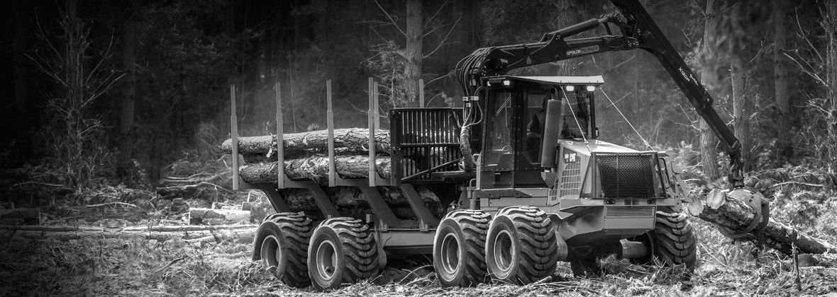 New Cat Forwarders for Sale - Cat Machines - Thompson Machinery