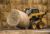 Cat® Bale Spear in Action