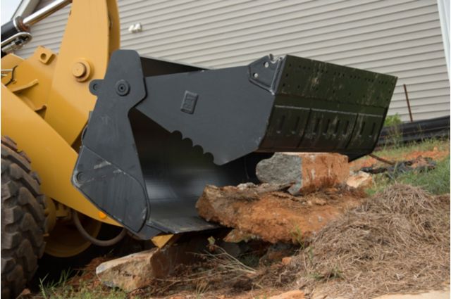 Serrated Clam Sidewall