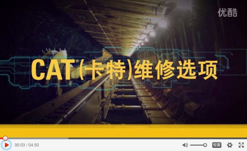 Cat®（卡特）维修选项