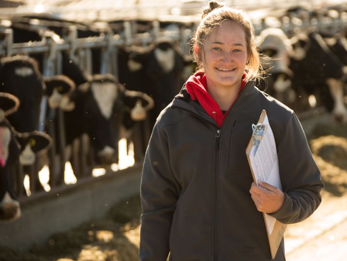 Girl in front of cows