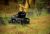 Cat® HMF210 Flail Mower at Work