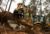 Cat® 420F2 Backhoe Loader with Thumb and Ripper in Working Application
