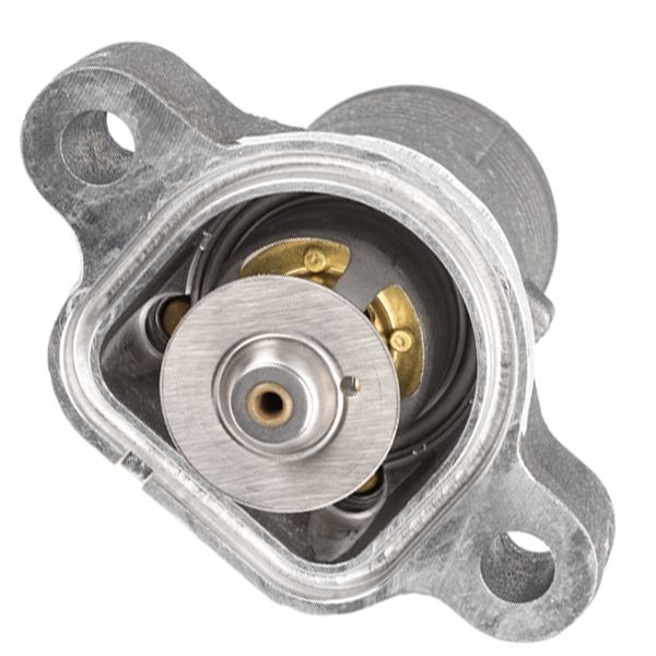 T413847: THERMOSTAT ASSY