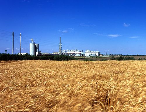 Cargill B.V. - Netherlands