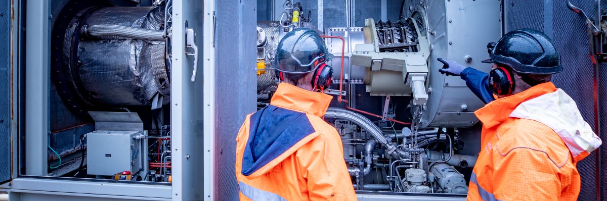 Fleet Assessment Services