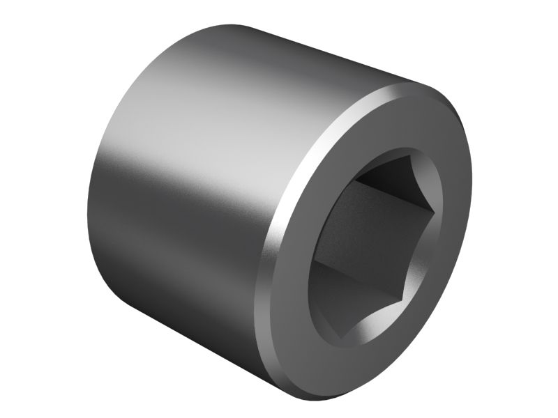 Conduit Plug-Metric