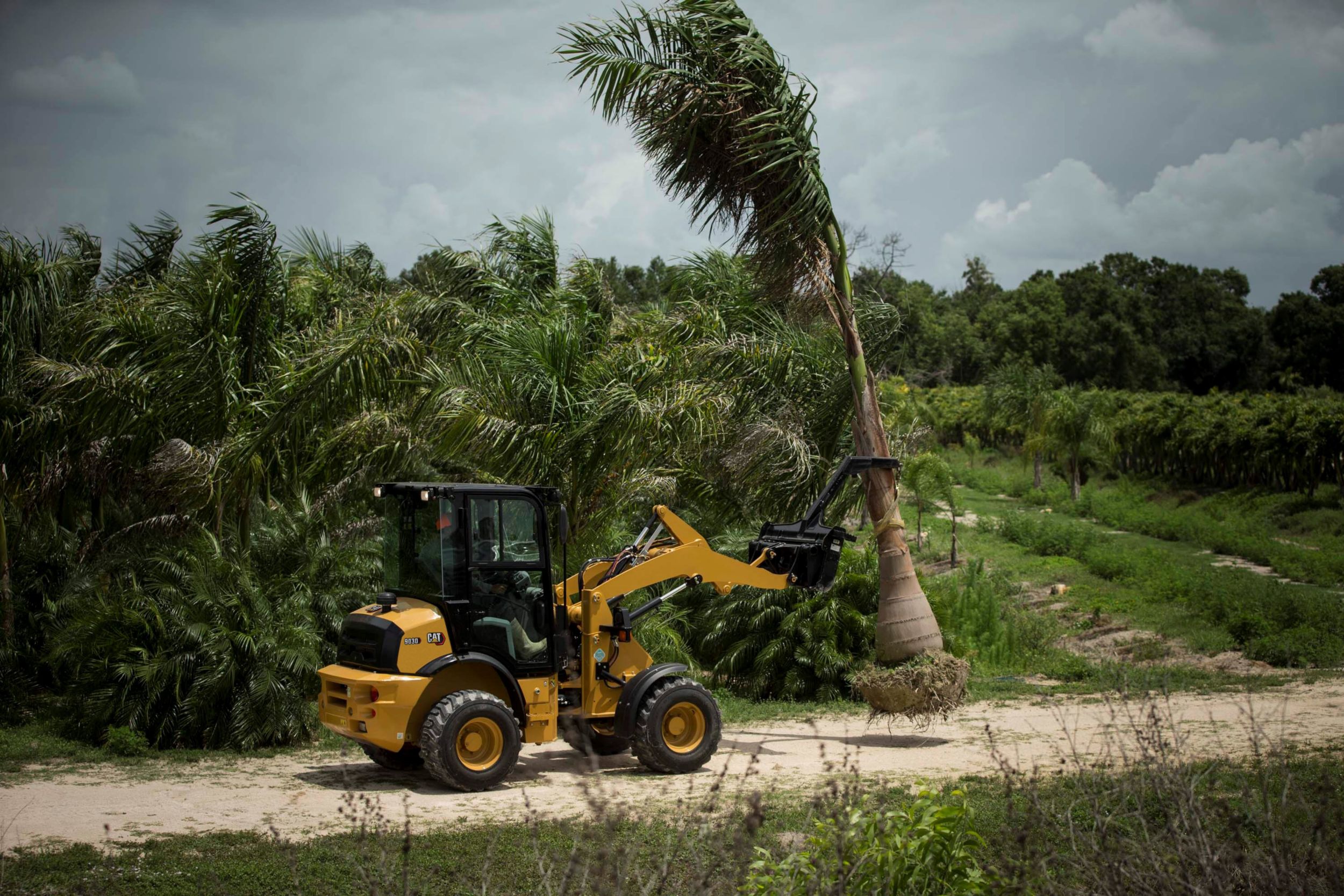 903D Compact Wheel Loader