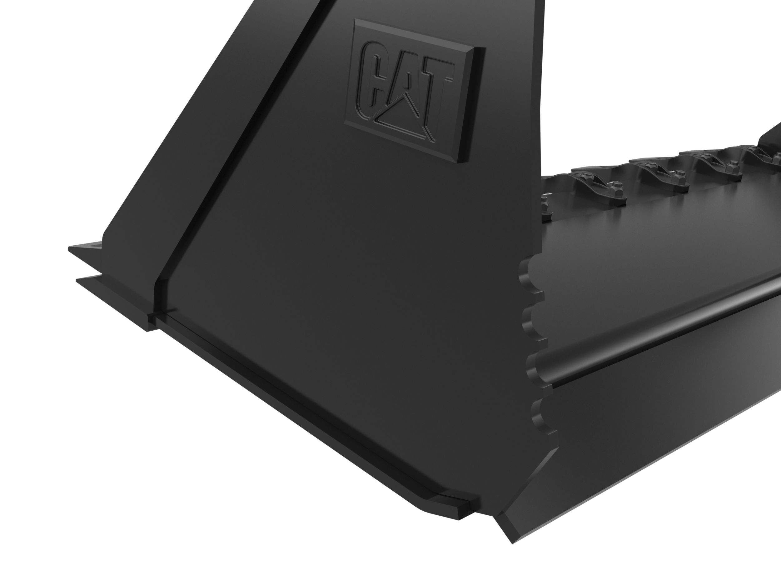 Borde lateral aserrado de la almeja