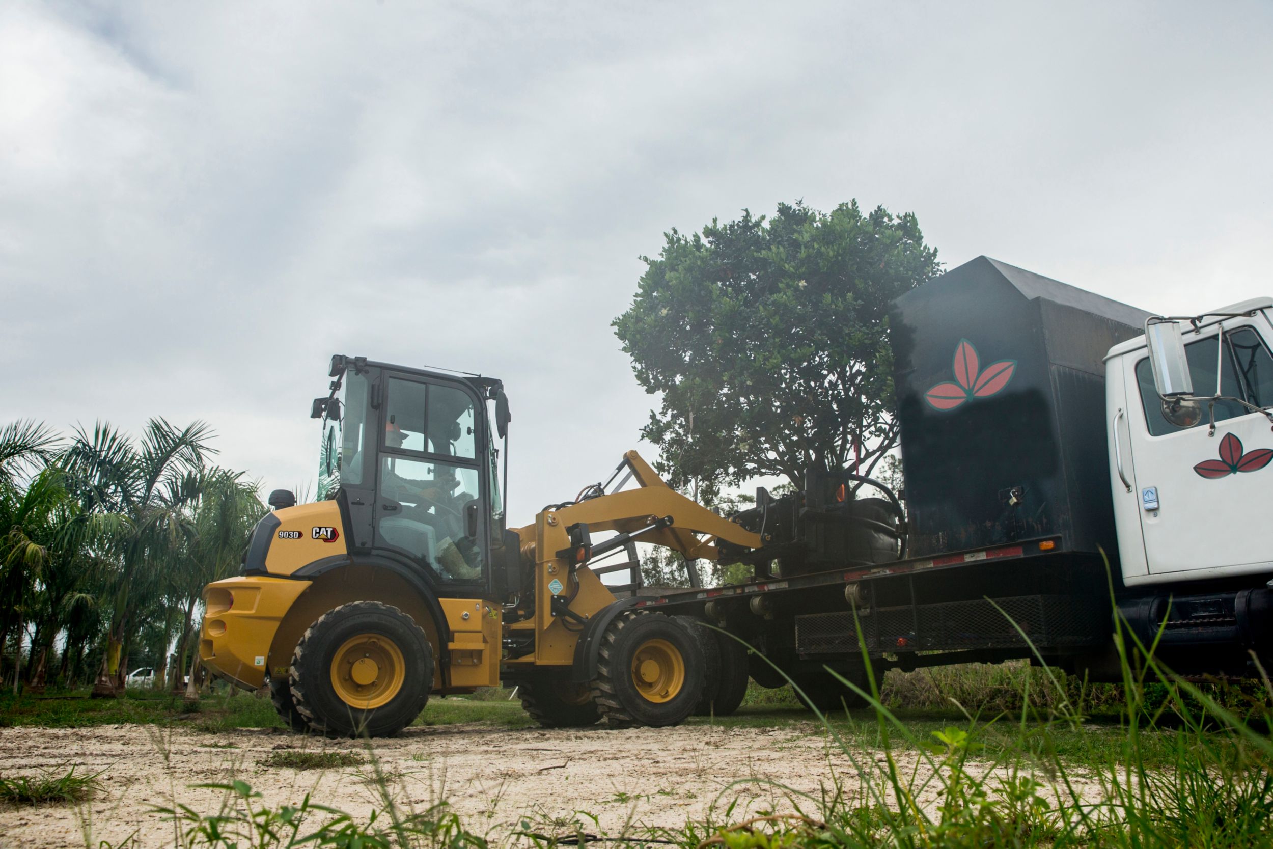 903D Compact Wheel Loader