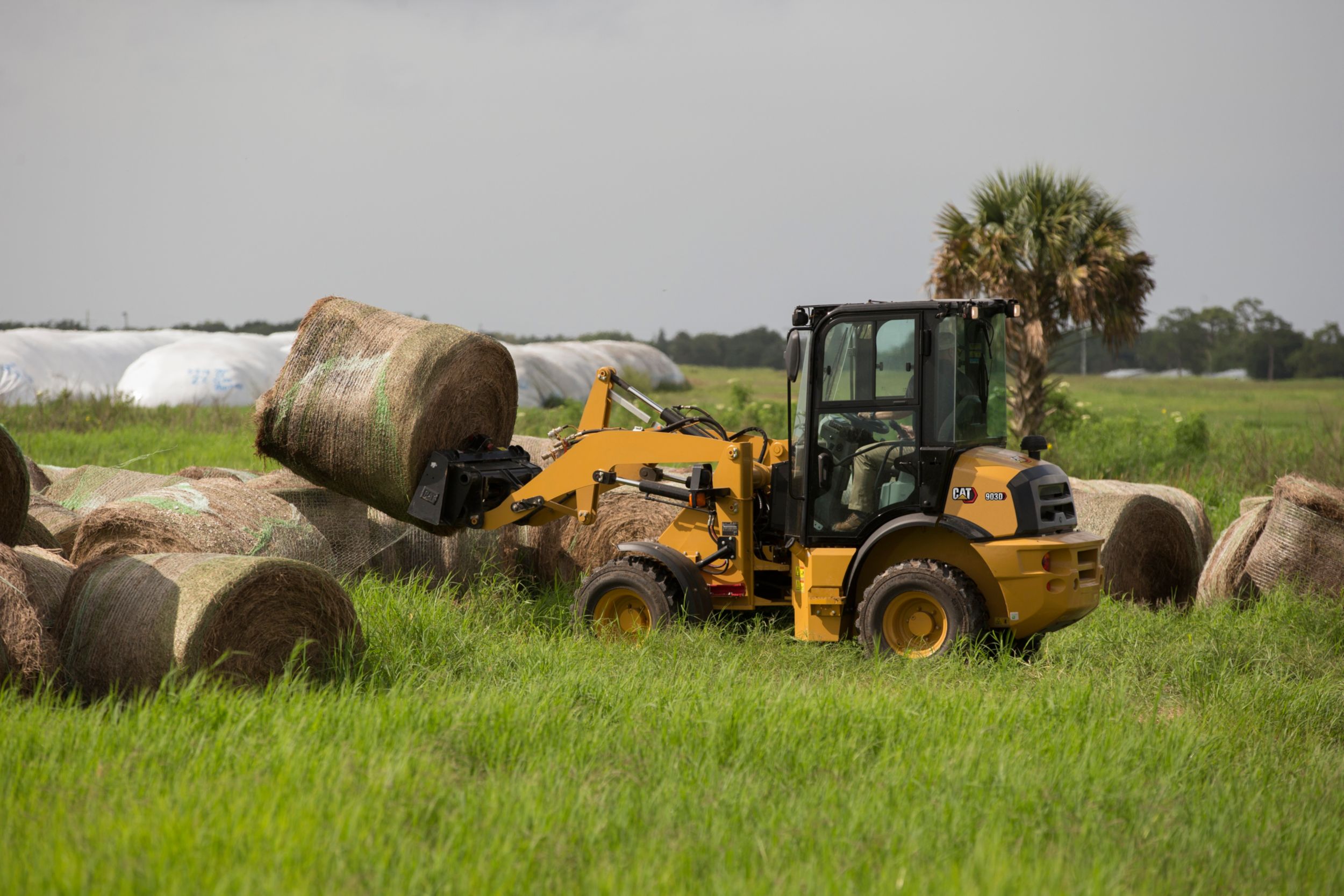 903D Compact Wheel Loader