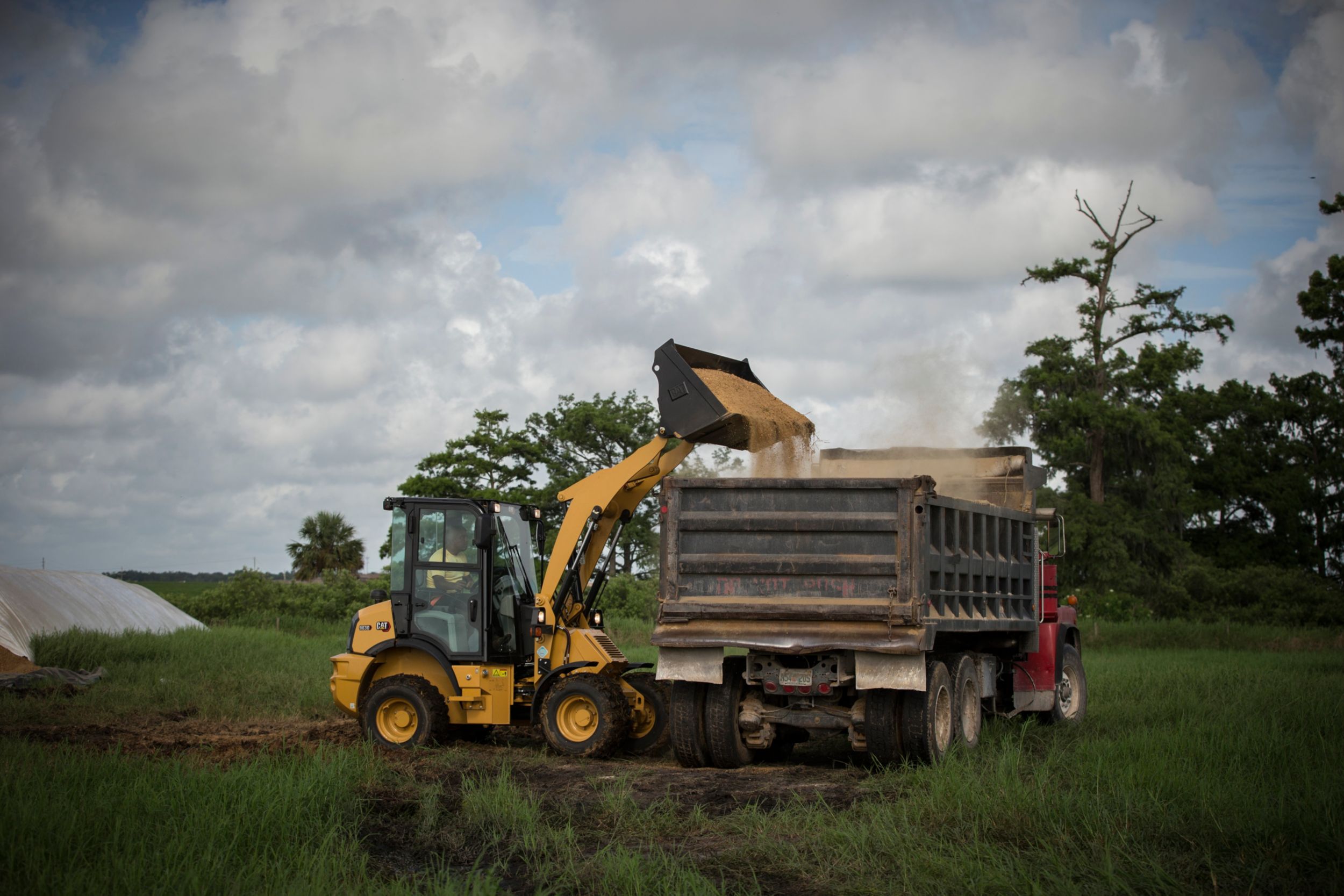 903D Compact Wheel Loader