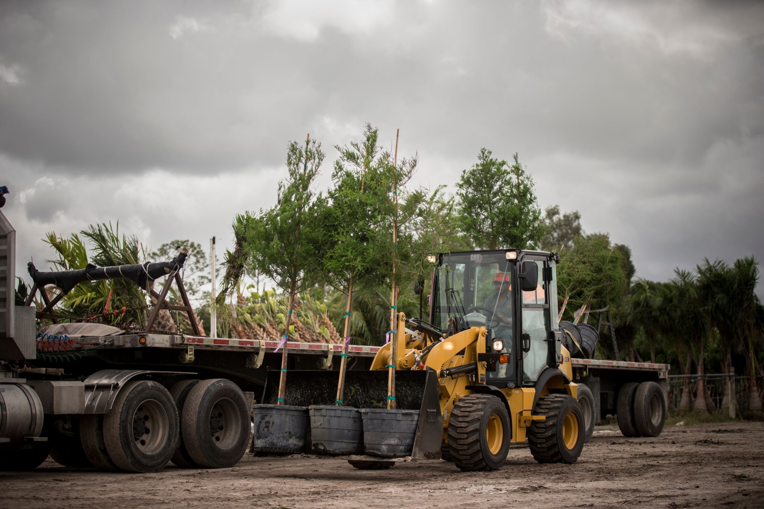 903D Compact Wheel Loader