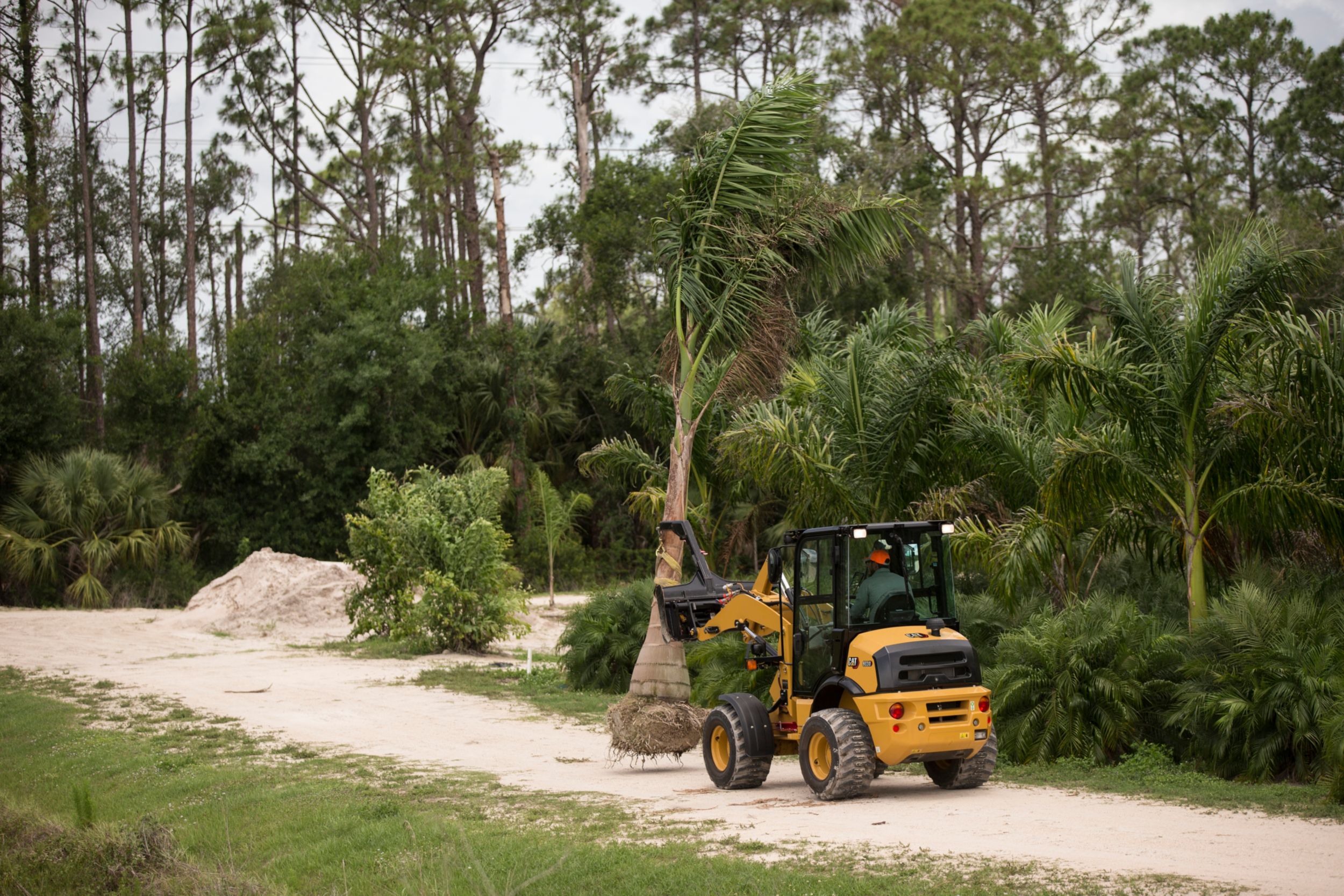 903D Compact Wheel Loader