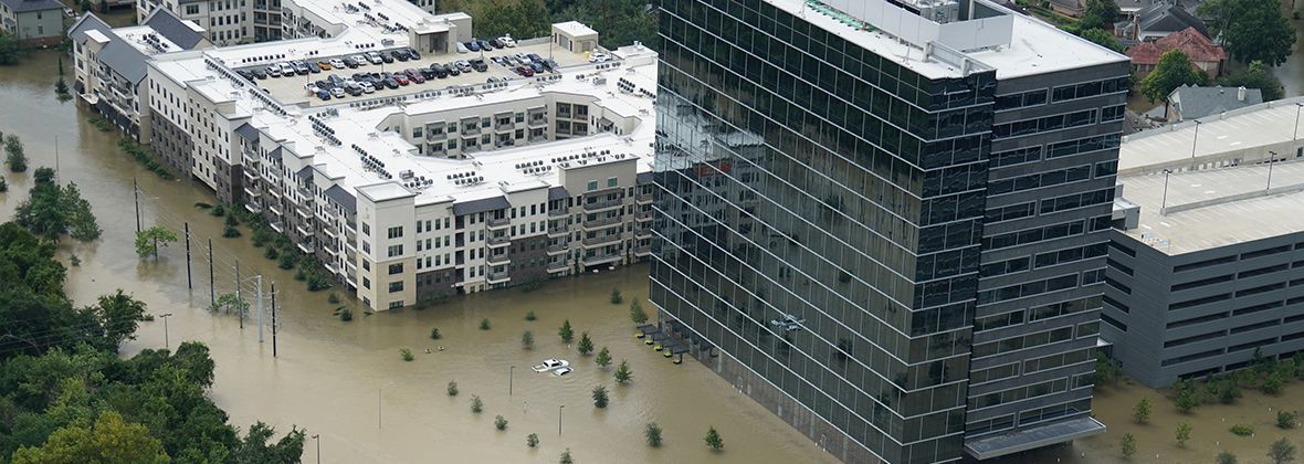 Disaster Prep for Business