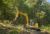 309 CR Mini Hydraulic Excavator