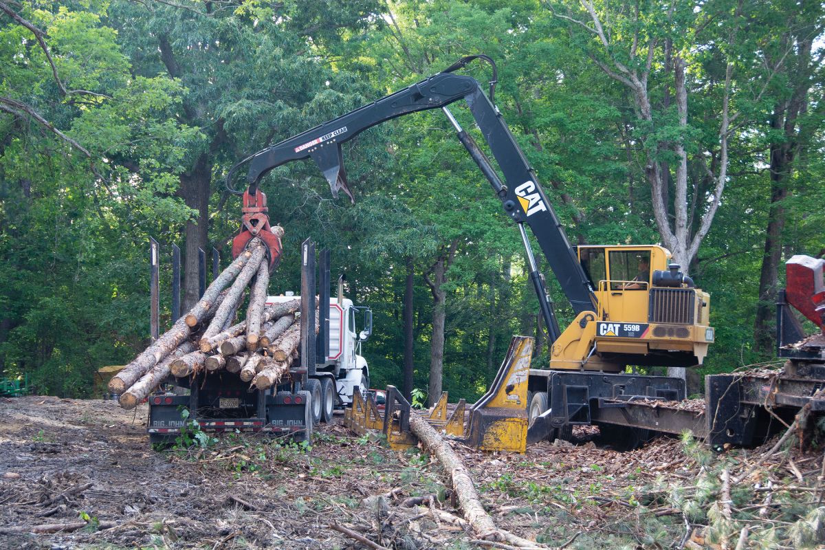 Handle big timber, earn big pay 💪🏼. With more engine power, swing torque  and drawbar pull, Cat® 568 Forest Machines can give you u