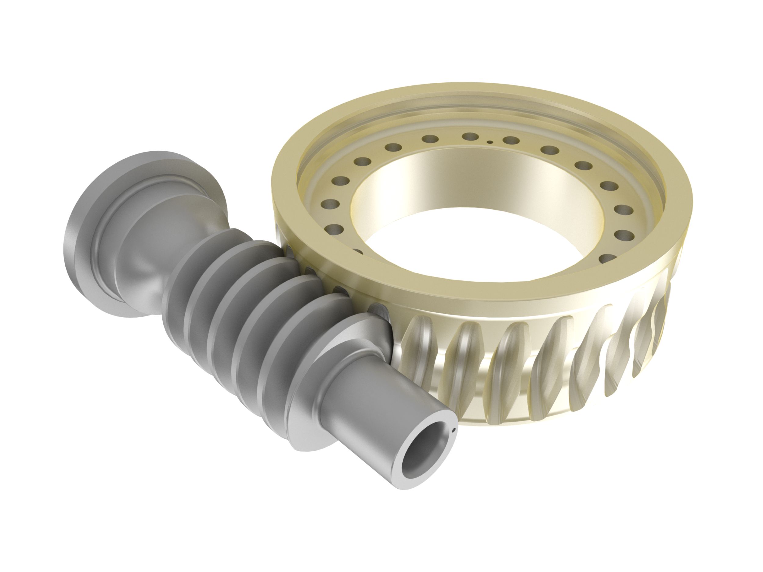 Heavy Duty Worm Gear