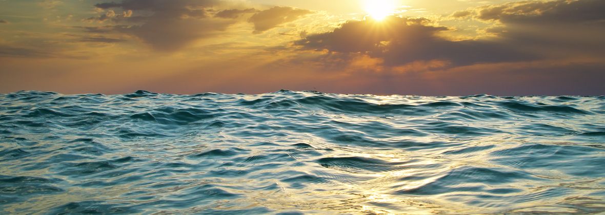 See more Marine Case Studies