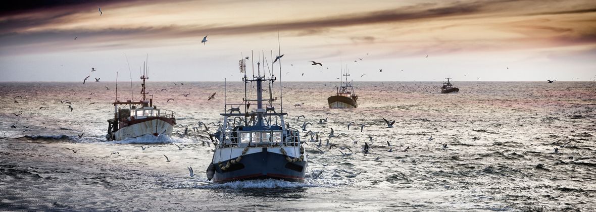 fishing boats and marine