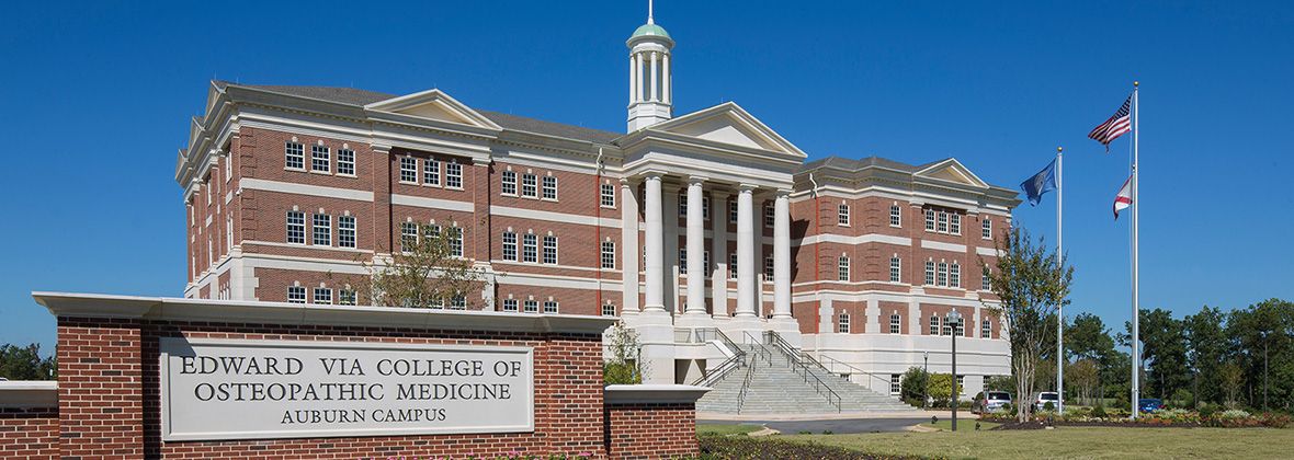 Generadores para la educación