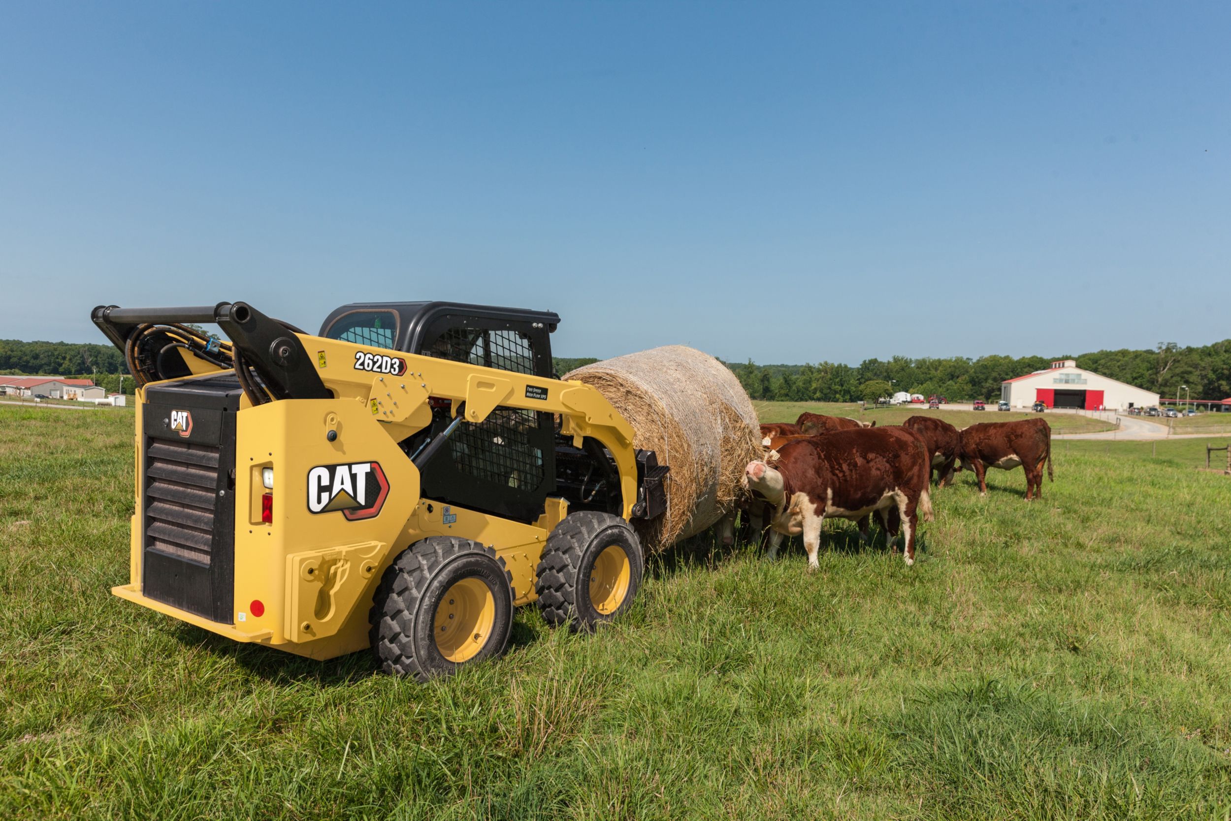 Cat 262D3